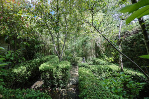 Photo 5- click for photo gallery